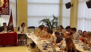 PP y Vox libran de la reprobación a David Pérez en el Pleno extraordinario de Hortaleza