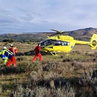 Fallece un hombre en Guadalix tras un ataque de reses bravas