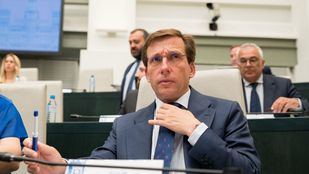 Almeida en el Pleno de Cibeles
