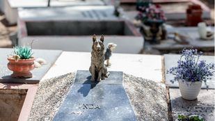Un lugar único en Madrid para recordar nuestras mascotas