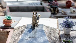 Arganda del Rey alberga el único cementerio de mascotas de la región