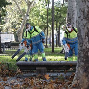 Más de 2.000 operarios y 400 sopladoras para recoger la hoja