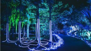 Vecinos de Arganzuela denuncian de nuevo el "hurto" del Tierno Galván con la llegada de Naturaleza Encendida