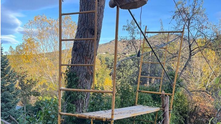 Andamio en el árbol de donde se ha caído un vecino de Soto del Real