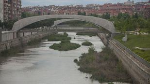 Imagen río Manzanares.