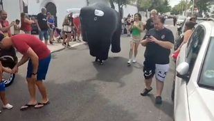 El PP defiende "sin complejos" la tauromaquia y los encierros infantiles para "conocer" el toro