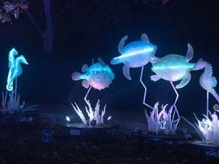 La ‘Naturaleza encendida’ vuelve al parque Tierno Galván