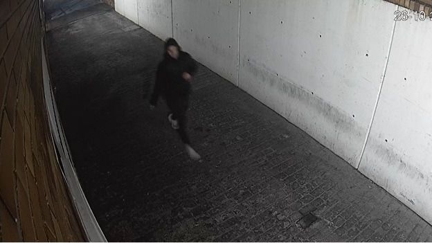 Detenido un pirómano que prendió coches, contenedores y bolsas de basura en una zona de Majadahonda