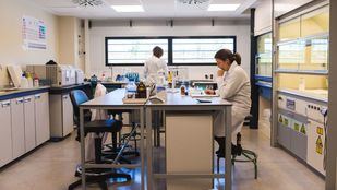 Investigación, excelencia y tasas: la Comunidad anuncia nuevas ayudas para universidades