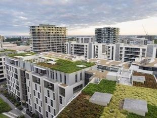 Madrid busca reverdecer las azoteas