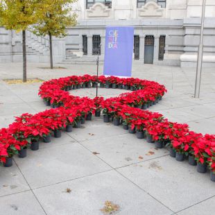 Día Mundial del Sida: la transmisión sexual sigue siendo la principal vía