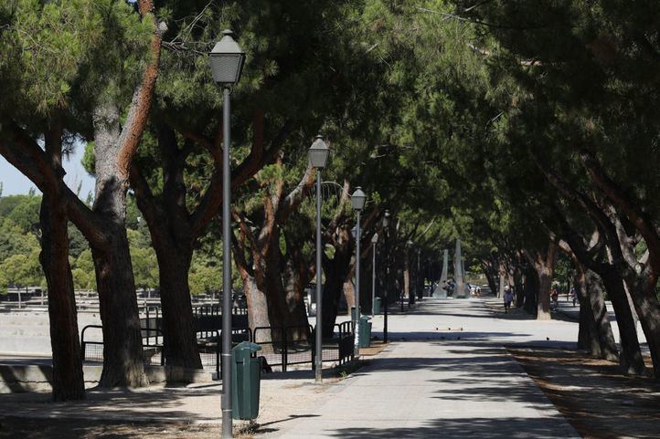 Parque de Pradolongo