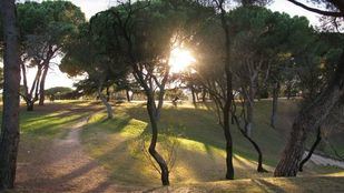 La Dehesa de la Villa, declarada Bien de Interés Cultural