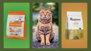 Los 10 mejores piensos para gatos en calidad, precio y nutrición del mercado - Comparativa 2024