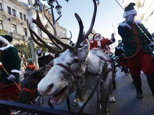 PACMA denuncia "maltrato" a renos en El Escorial