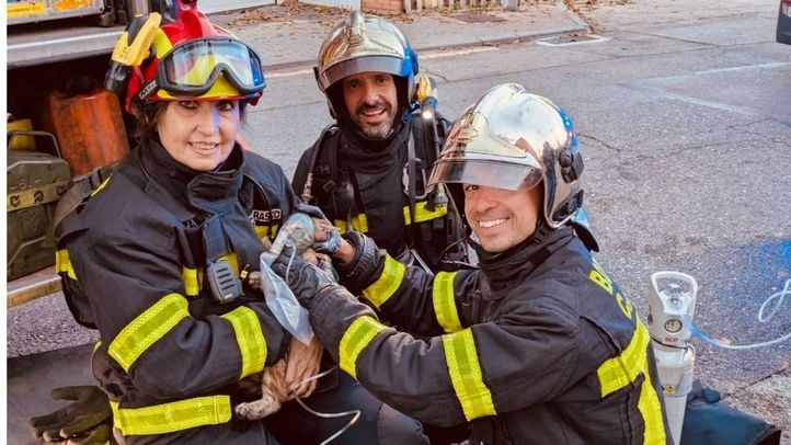 Los bomberos aplican oxígeno a un gato rescatado en un incendio en Móstoles