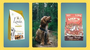 10 Mejores piensos para cachorros en calidad, precio y salud para tu mascota, guia 2024