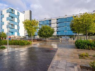 Almeida propone reformar el reglamento de EMVS para evitar los pisos sin adjudicar tras los sorteos