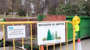 Recogida de abetos navideños: estos son los puntos donde los madrileños pueden depositarlos