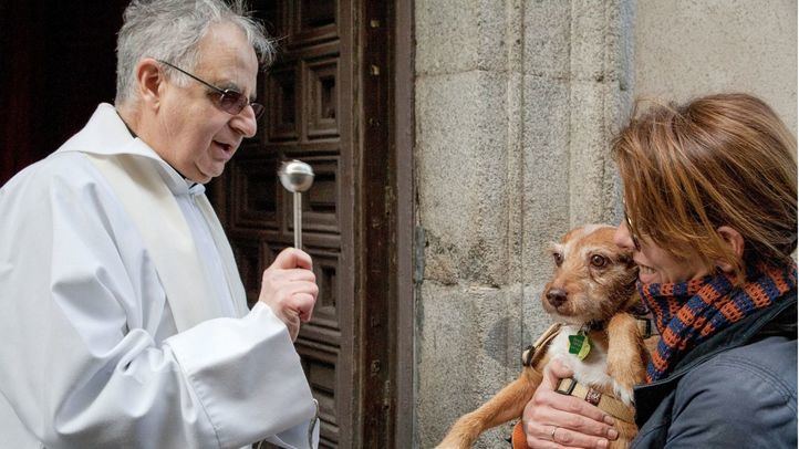 Bendición de animales en la iglesia de San Antón