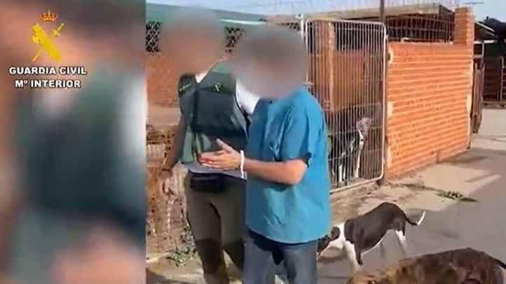 Guardia Civil investiga a un hombre tras hallar tres cadáveres de perros y 11 en malas condiciones
