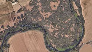 Infraviviendas, circuitos de motocross y talas no autorizadas "amenazan" la biodiversidad de El Soto de Aldovea