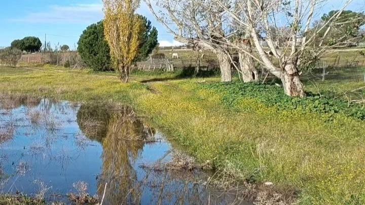 Humedal en Los Carriles