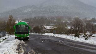 Refuerzo de la línea 691 con 14 recorridos