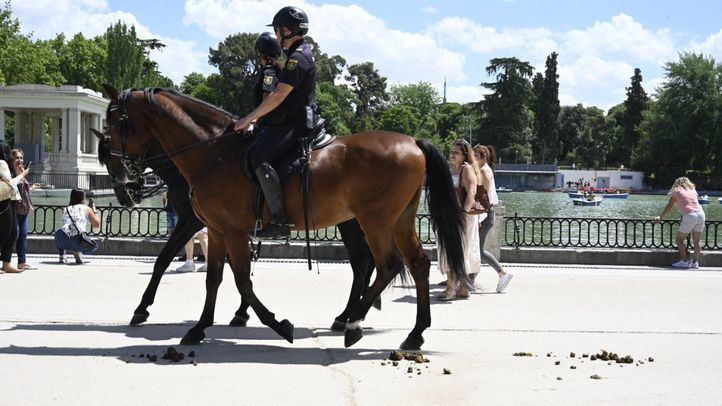 Los caballos de las patrullas que operan en el Parque de El Retiro