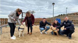 Campo Real facilita la adopción de 29 perros rescatados por la Policía Local