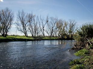 Ecologistas alertan de los "impactos ambientales" en el proyecto para la recuperación del Manzanares