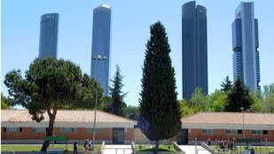 Polideportivo Vicente del Bosque.