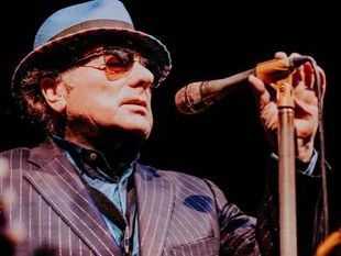 Cartel completo de las Noches del Botánico 2025