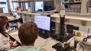 La Comunidad presenta su II Plan de Atención Sanitaria a Personas con Enfermedades Raras