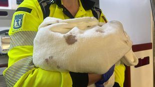 Un bebé nace en el portal de su casa en Chamartín