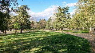 Madrid, reconocida por sexta vez consecutiva como 'Ciudad Arbórea del Mundo'