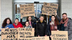 Los veterinarios se plantan ante la nueva regulación de medicamentos