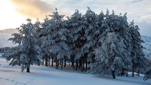 La Aemet activa el aviso amarillo por nieve en la Sierra este jueves