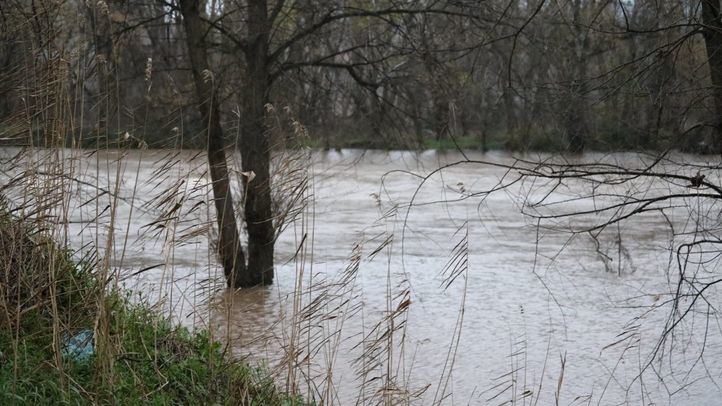 El caudal del río Henares ha alcanzado niveles que no tenía desde 1979 por las intensas lluvias y desembalses.