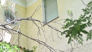 La Comunidad de Madrid pujará por la casa de Vicente Aleixandre