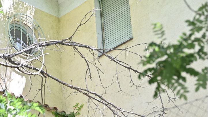 Velintonia, la casa de Vicente Aleixandre