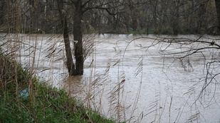 La Comunidad destina fondos para reparar infraestructuras dañadas por la lluvia en municipios de menos de 20.000 habitantes