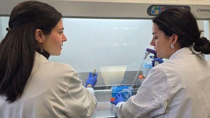 El 12 de Octubre y la UCM demuestran el potencial de un compuesto de nueces y frutos secos frente al mieloma múltiple