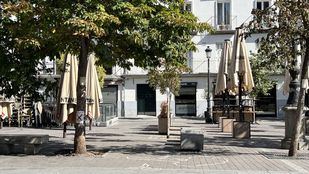 Más Madrid solicita al Defensor del Pueblo aclarar la tala de árboles en la Plaza Santa Ana