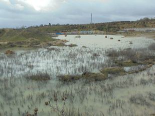 Ecologistas advierten del riesgo de inundación en los terrenos del futuro circuito de Fórmula 1