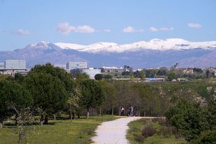 El parque forestal de Valdebebas-Felipe VI celebra su décimo aniversario como segundo pulmón verde de Madrid