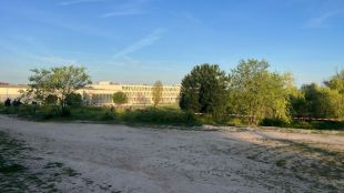 Comienzan los trabajos previos al trasplante de árboles en la zona del cantón de Montecarmelo