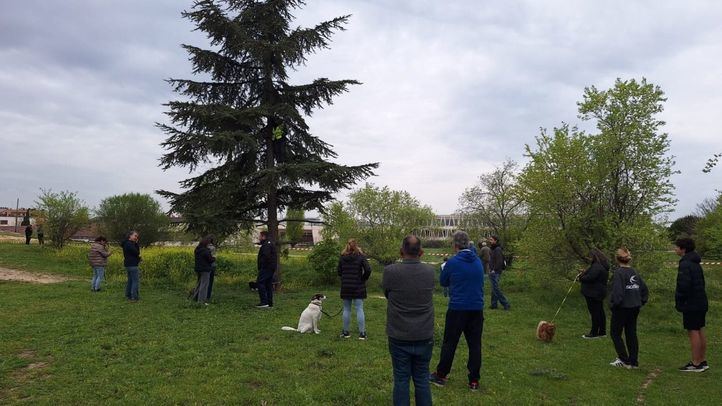 Vecinos de Montecarmelo acuden a la parcela donde se han iniciado los trabajos previos de trasplante de árboles de cara a la ejecución del cantón de limpieza para mostrar su rechazo.