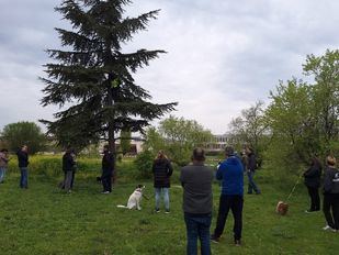 Vecinos de Montecarmelo, contra el trasplante de árboles por el cantón de limpieza