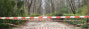 El Retiro y otros parques de Madrid mantendrán zonas balizadas por adversos meteorológicos